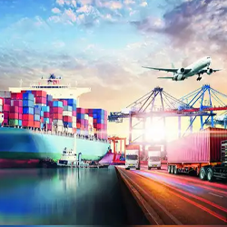 Project Export